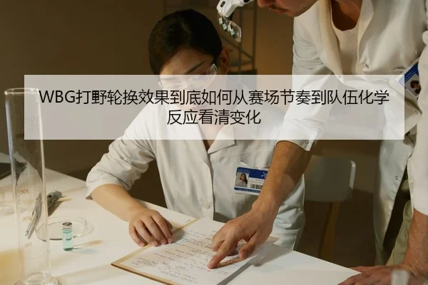 WBG打野轮换效果到底如何从赛场节奏到队伍化学反应看清变化